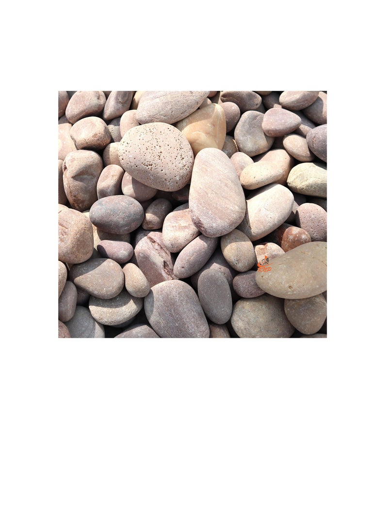 KNP Red River stone Natural Garden Material 5-8 cm 10 kg  - Image 3