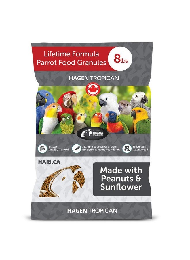 Hari Hagen Tropican Lifetime Formula Parrot Food, 8 Lb.  Hari Parrot Food With Peanuts & Sunflower Seeds And Balance Nutrition Levels - pzsku/Z7B87B4F4E46D35F2AAF2Z/45/_/1726220000/09cd8179-b309-43b7-b5fd-7a74b4b71a53