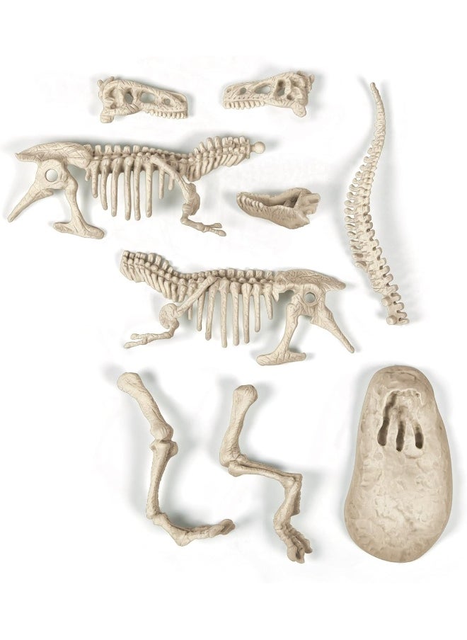 Clementoni Science And Play Archeofun T-Rex  - Image 5