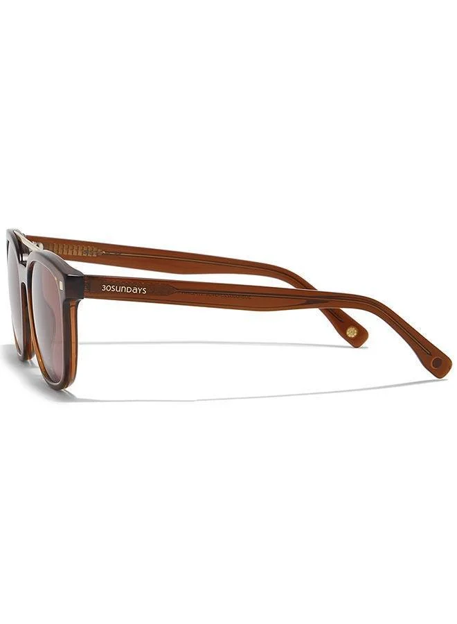 30Sundays  30Sundays M.V.P.,Men Sunglasses, Aviator Sunglasses, UV Protection: UV400 (Brown,Brown) for Men | Best Price UAE