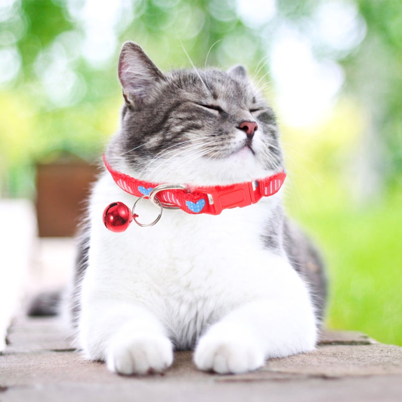 🐾 طوق قطط قابل للتعديل مقاوم للتآكل مزود بجرس خفيف الوزن ومريح قطع - Image 5