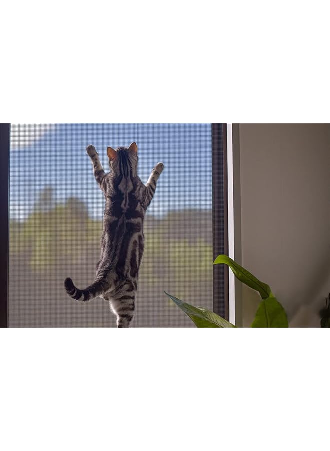 The Bros شبكة شاشة النوافذ شبكة حشرات شبكة ذباب لفة شبكة بعوض نافذة شبكة شاشات ذباب شبكة ألياف زجاجية للنوافذ والأبواب (122X252CM، رمادي) - Image 3