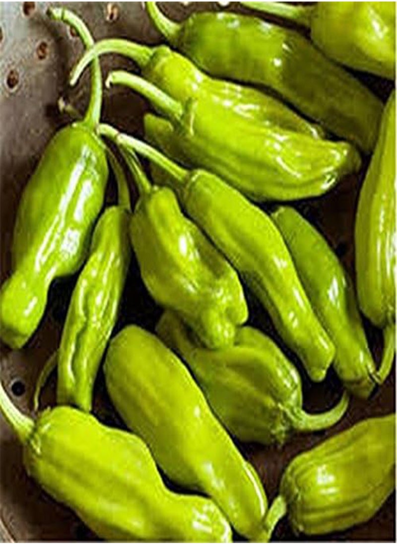 GGOOT Golden Greek Pepperoncini Hot Pepper Seeds - A Perfect Addition to Greek Salads.(10 - Seeds)  - Image 3