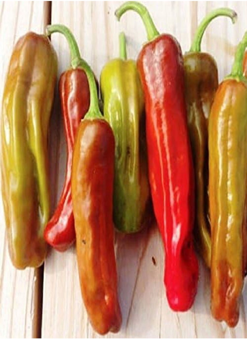 GGOOT Golden Greek Pepperoncini Hot Pepper Seeds - A Perfect Addition to Greek Salads.(10 - Seeds)  - Image 2