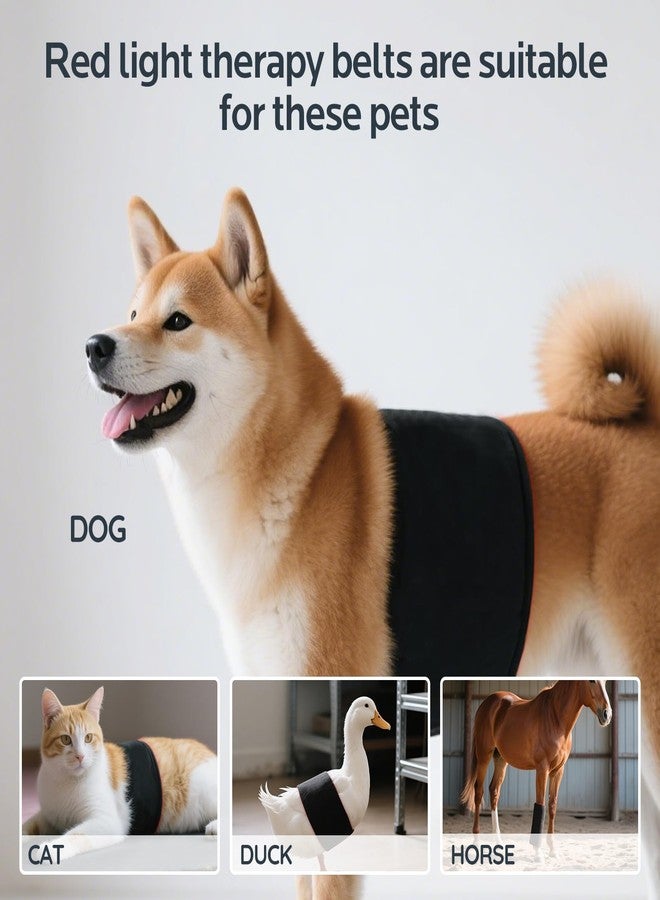 Wind in Hand Red Light Therapy for Dogs,Wearable Infrared Light Therapy Belt for Pets Wounds Repair,Joint & Back Pain Relief,12.8 × 6.8 in 660/850 nm 80-LED Pad - Image 5