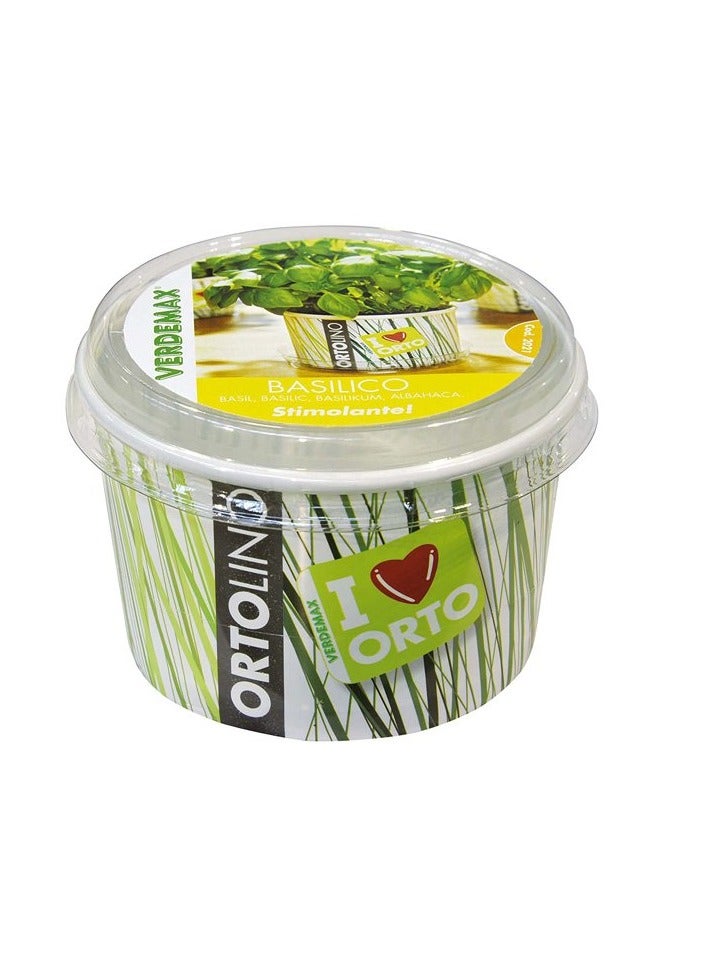 KNP Ortolino Basil Kit Seeds VX2021 