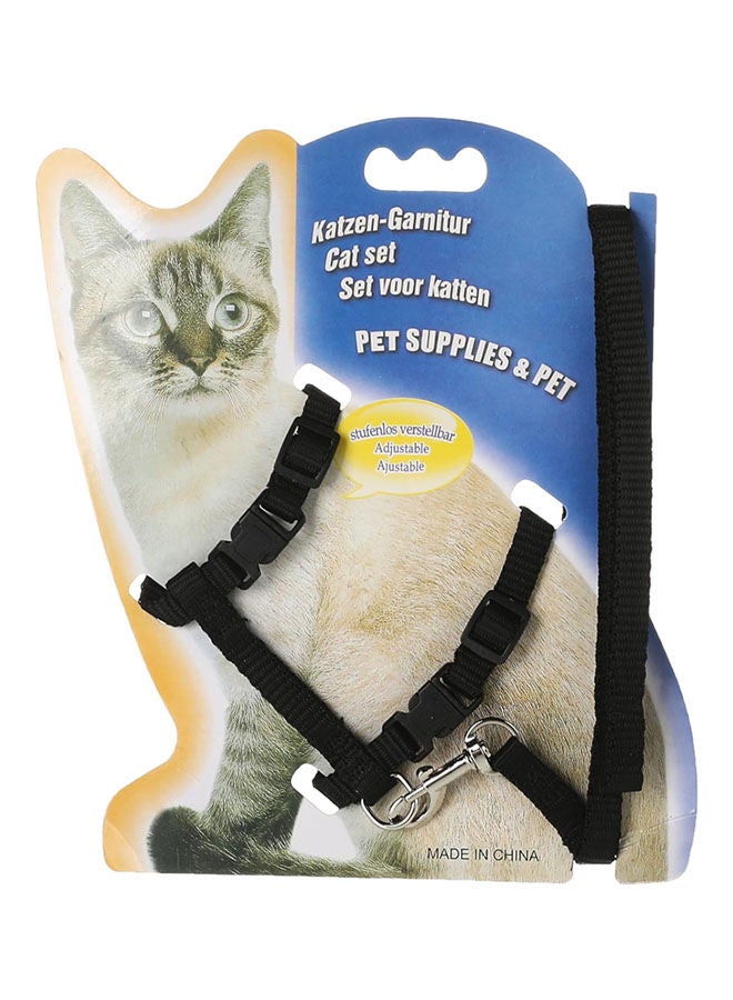 جولدن أروز مقود حزام الحيوانات الأليفة من النايلون الناعم M - Image 1