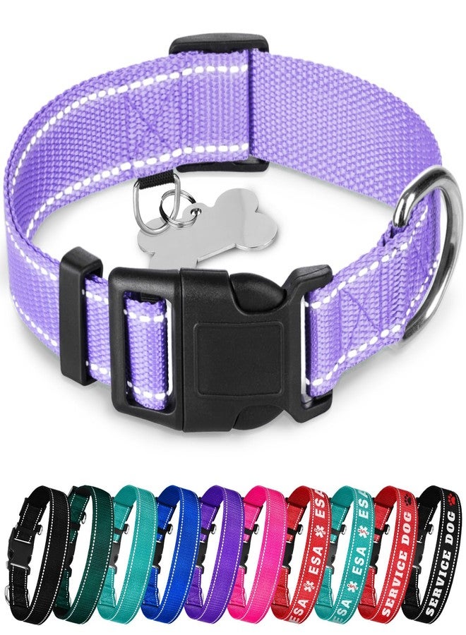 TECEUM Reflective Dog Collar - Lavender - XL - Basic Nylon Pet Collar - Quick Release Buckle - Fits Small, Medium and Large Dogs, Puppies, Cats - ESA & Service Dog Options - Image 1