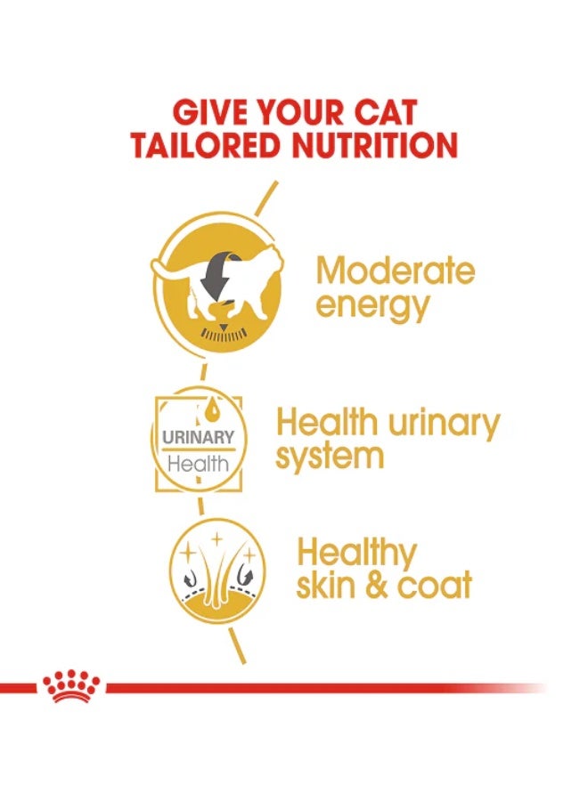 ROYAL CANIN طعام رويال كانين الرطب للقطط من سلالة البريطانى شورت هير 12x85غ - Image 3