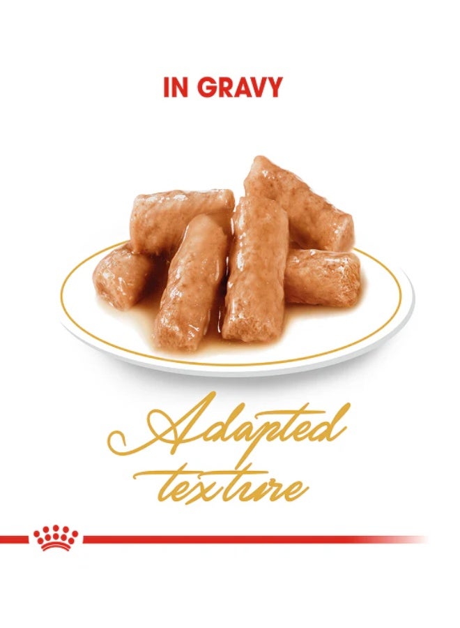 ROYAL CANIN طعام رويال كانين الرطب للقطط من سلالة البريطانى شورت هير 12x85غ - Image 4