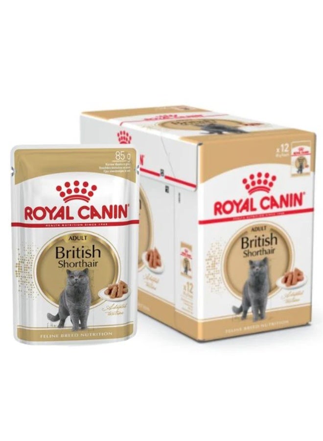 ROYAL CANIN طعام رويال كانين الرطب للقطط من سلالة البريطانى شورت هير 12x85غ - Image 5