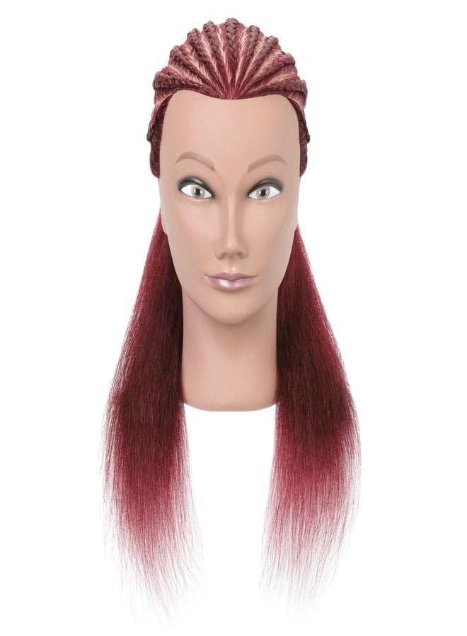 LECIPO 100% Real Human Hair Mannequin Head with Stand Manikin Cosmetology Doll Training Head for Hairdresser Practice Braiding Styling Curling Cutting Display - Image 2