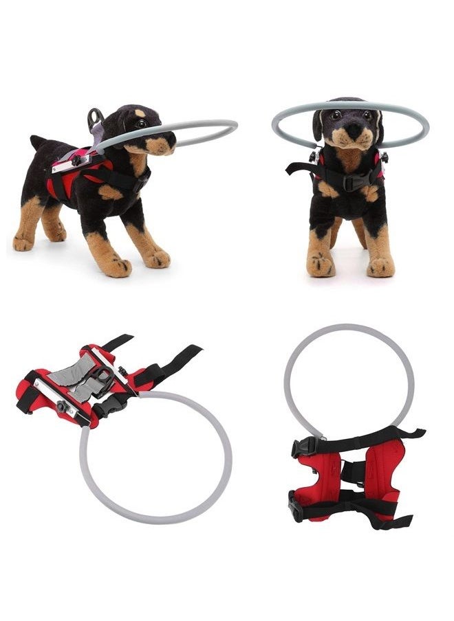 Pet Blind Halo Practical Collision Avoidance, Lightweight Blind Halo Harness with Reflective Effect for Blind Dogs Cats, Available for Any Visually Impaired Puppy (S Circle