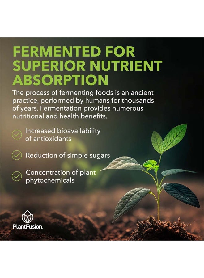 Plantfusion Organic Plantfusion Organic Turmeric And Ginger Fermented Superfood Powder Blend 135G - Image 5