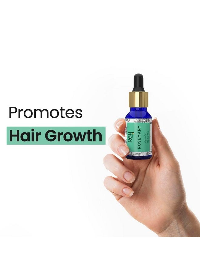 Rey Naturals - Tea Tree Oil, Rosemary Oil & Castor Oil For Hair Growth, Hairfall Control, Dandruff | Essential Oil & Cold Pressed Oil Set For Face, Skin, Hair Care| All Skin & Hair Types - 15Ml*2+200Ml - Image 1