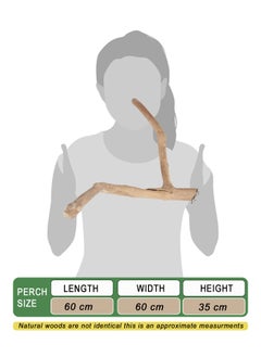 CHEWY BEAK Birds wooden perch solid java wood stick for cockatoo parrots and african grey parrots suitable for all bird cages  - Image 2