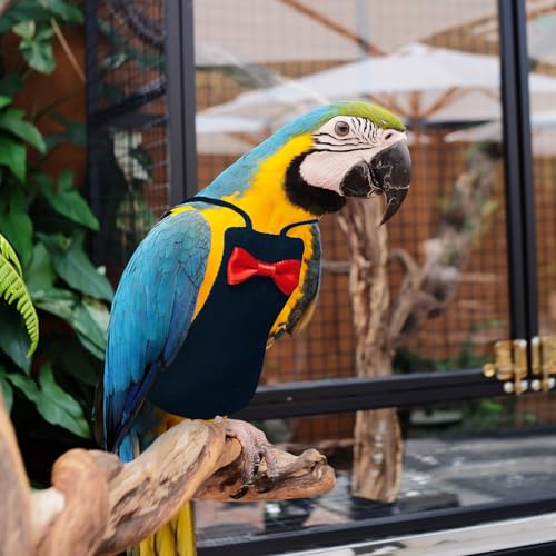 XQIGI Bird Diaper Washable Reusable Parrot Flight Suit Nappies Protective Breathable Parrot Nappy Clothes for Parakeet, Macaw, Budgie, Canary, Cockatiel (Black, Small) - Image 2
