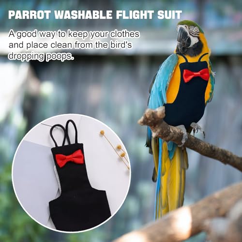XQIGI Bird Diaper Washable Reusable Parrot Flight Suit Nappies Protective Breathable Parrot Nappy Clothes for Parakeet, Macaw, Budgie, Canary, Cockatiel (Black, Small) - Image 5