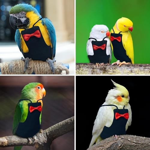 XQIGI Bird Diaper Washable Reusable Parrot Flight Suit Nappies Protective Breathable Parrot Nappy Clothes for Parakeet, Macaw, Budgie, Canary, Cockatiel (Black, Small) - Image 3
