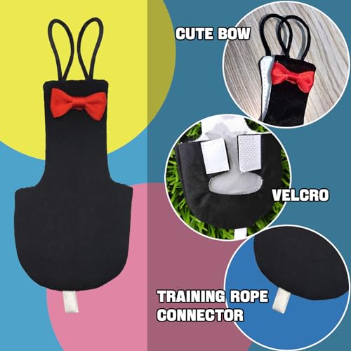 XQIGI Bird Diaper Washable Reusable Parrot Flight Suit Nappies Protective Breathable Parrot Nappy Clothes for Parakeet, Macaw, Budgie, Canary, Cockatiel (Black, Small) - Image 4