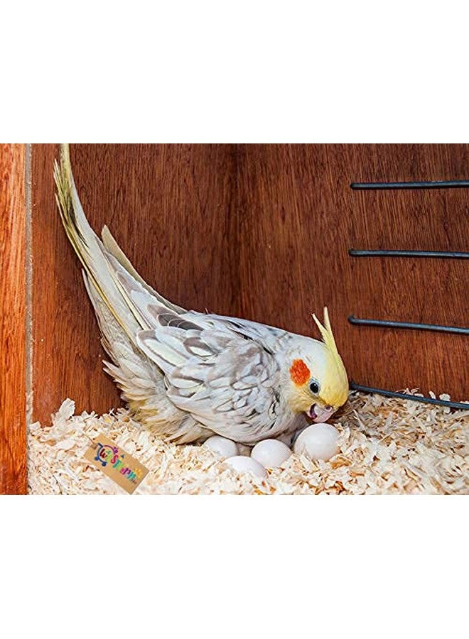 Western Era Western Era Natural Wood Shaving Nesting Material for Birds (100grm) - Image 1