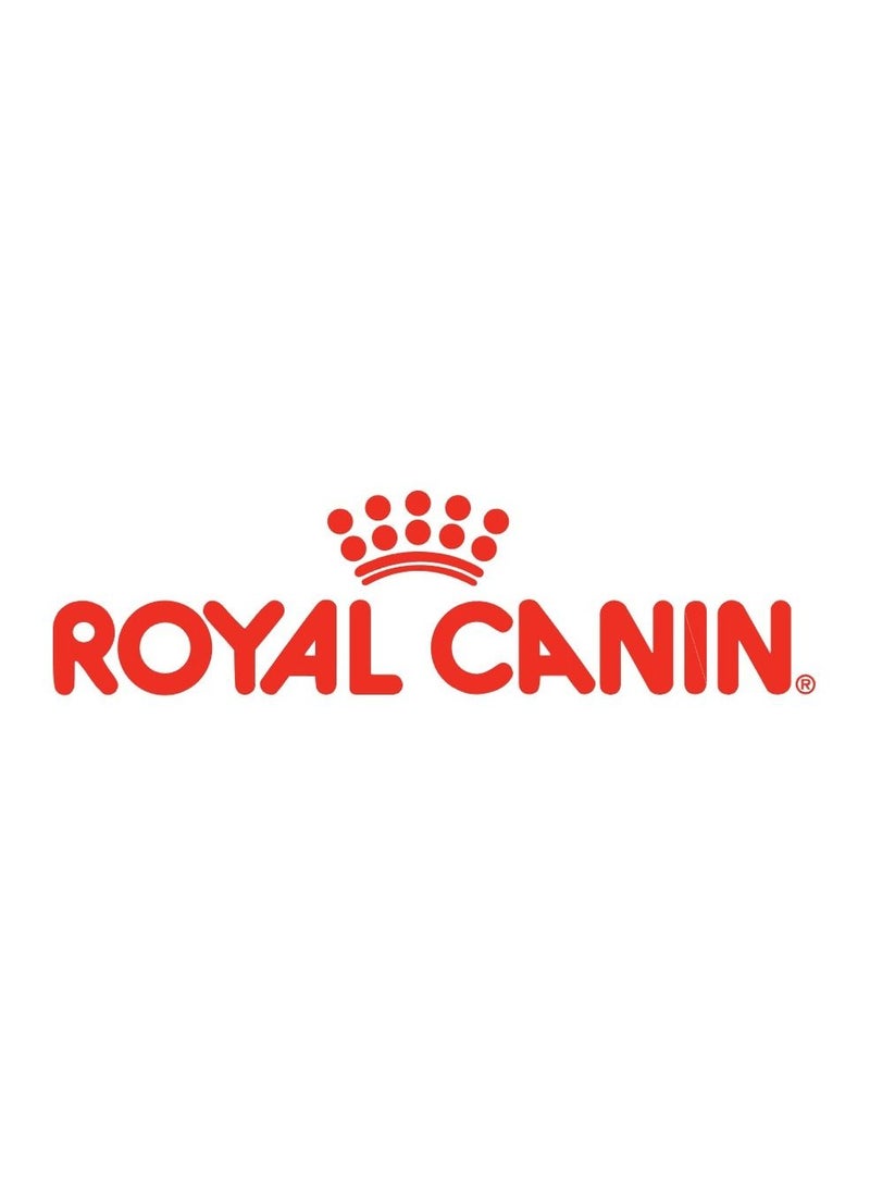 ROYAL CANIN رويال كانين - غذاء القطط البالغة من سلالة الفارسية 2 كجم وعلبة طعام رطب للقطط 12x85 جرام حزمة - Image 3