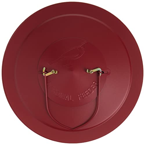 Perky-Pet Durable Wild Bird Feeder - 2.5 lb Seed Capacity - Feed up to 15 Birds at Once - Red, C00322 - Hanging Wild Bird Feeder for Outdoor Decor - Image 5