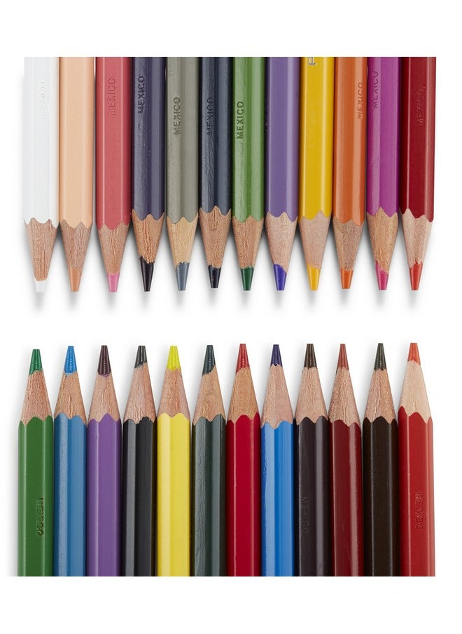 بريزما كالر أقلام تلوين قابلة للمسح من Prismacolor Col-Erase، للتلوين للبالغين، عبوة من 24 قطعة  - Image 3