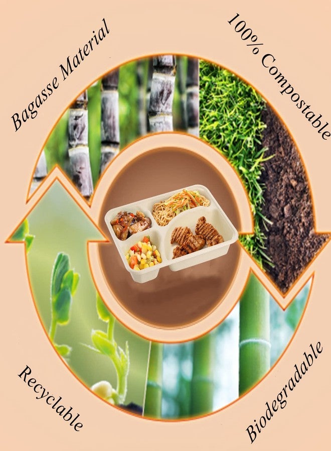 Lyellfe أطباق ورقية قابلة للتحلل 50 حبة من لييلف، طبق طبيعي من قصب السكر 4 أقسام، صينية غداء قوية، طبق مقسم يمكن التخلص منه، آمن للاستخدام في الميكروويف والفريزر للحفلات والمدارس - Image 3