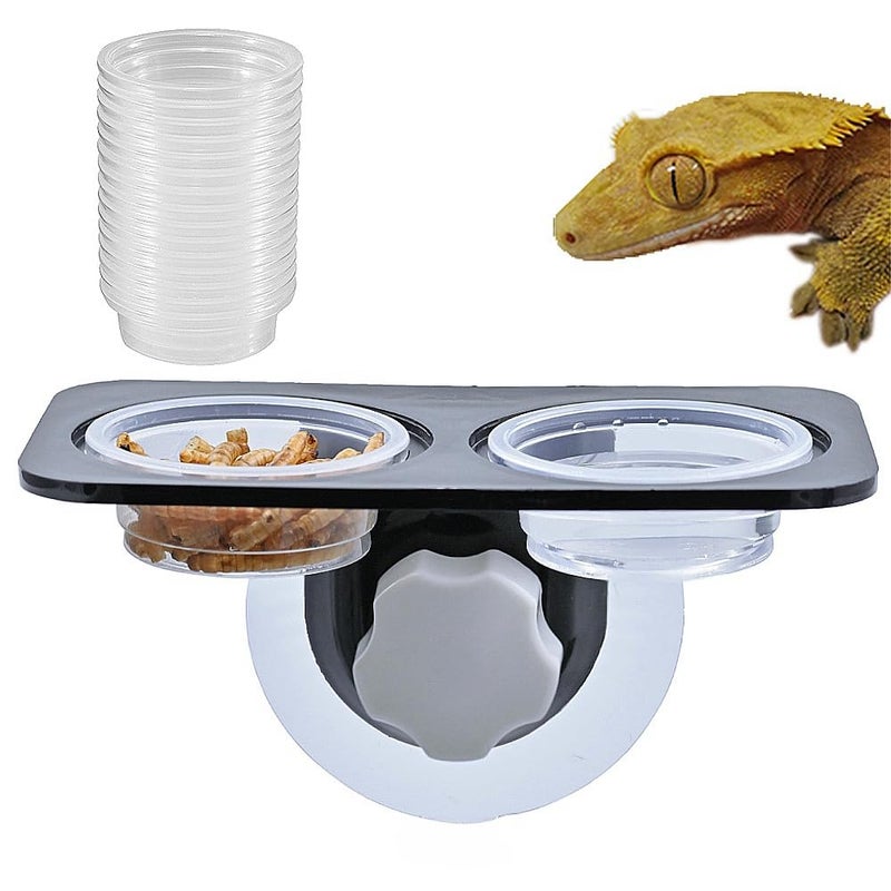 MRTIOO Crested Gecko Feeding Ledge [Non-Suction Cup], with 30 pcs 0.5oz Food Cups, Reptile Food Bowls and Water Dish for Lizard Or Other Small Pet Amphibian Feeder Ledge Accessories Supplies - Image 2