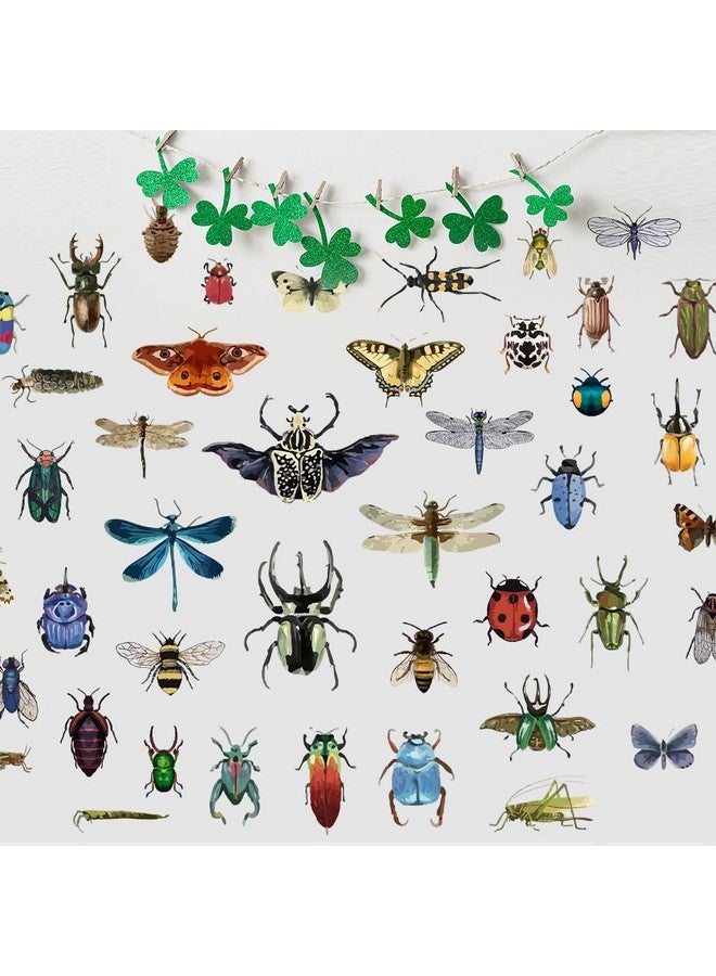 SUPERDANT Vintage Insects Scrapbook Wall Sticker Taxidermy Butterfly Wall Decor Moth Beetle Decal Dragonfly Grasshopper Vinyl Art Wallpaper for Biology Lab Library Kids Bedroom Decor 35x22in - Image 3