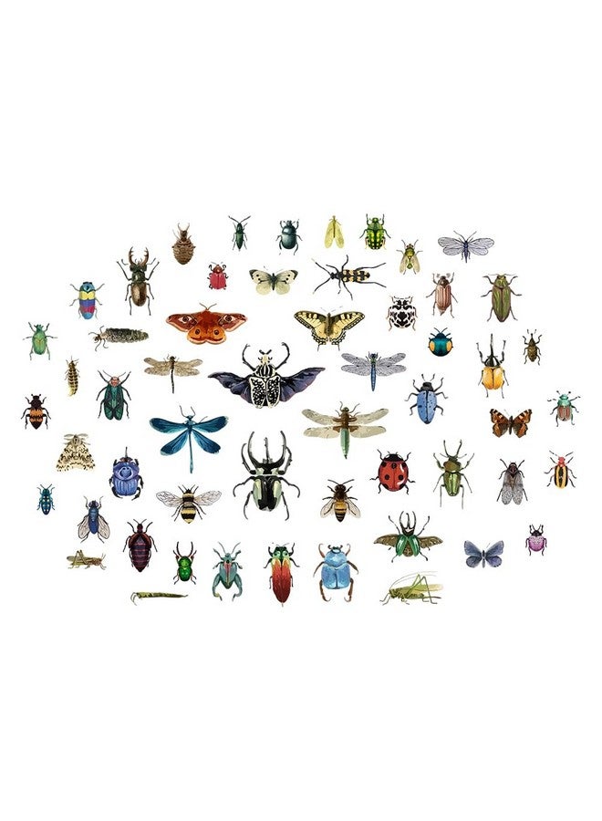 SUPERDANT Vintage Insects Scrapbook Wall Sticker Taxidermy Butterfly Wall Decor Moth Beetle Decal Dragonfly Grasshopper Vinyl Art Wallpaper for Biology Lab Library Kids Bedroom Decor 35x22in - Image 1