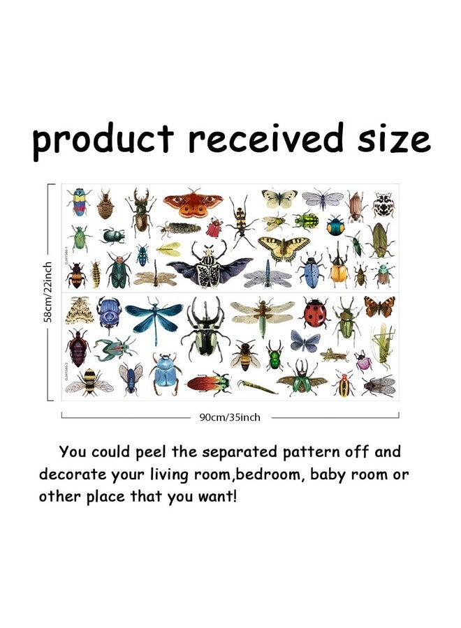 SUPERDANT Vintage Insects Scrapbook Wall Sticker Taxidermy Butterfly Wall Decor Moth Beetle Decal Dragonfly Grasshopper Vinyl Art Wallpaper for Biology Lab Library Kids Bedroom Decor 35x22in - Image 2