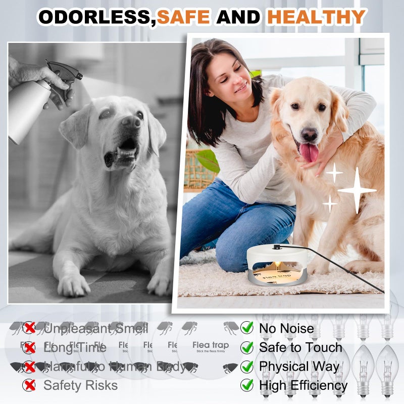 Kittmip أطقم كيت ميب 4 لاصقات لمكافحة البراغيث داخل منزلك مع 8 أقراص لاصقة و 12 لمبة و 4 أسلاك كهربائية قاتل البراغيث مصيدة ضوء حشرات السرير الداخلية آمنة للحيوانات الأليفة (أبيض، رمادي) - Image 4