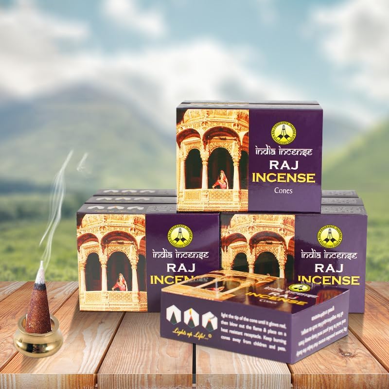 sheful Incense Cones 40 Pack, Incense Stickes with Mini Copper Incense Holder, Long Lasting Aromatherapy for Positivity & Pure Air Stress Relief, Air Purifier & Clean, Fragrance Gift (India) - Image 1