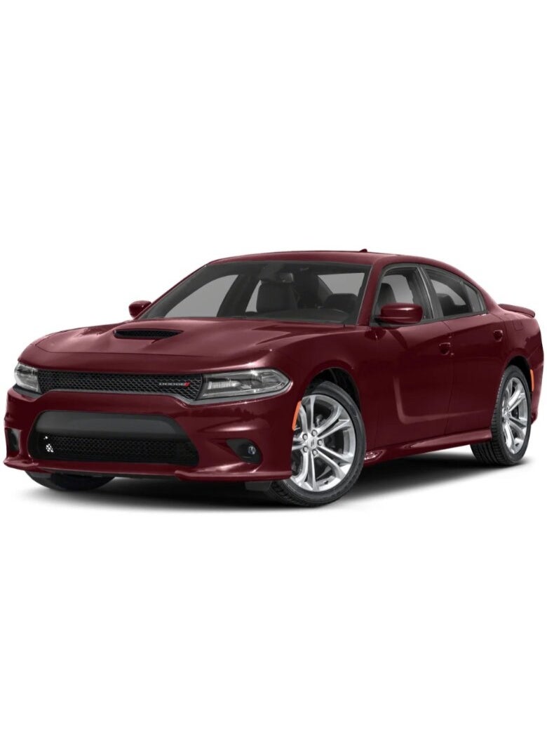 Generic 2015-19 Charger SRT Radar Slot Grille  - Image 2