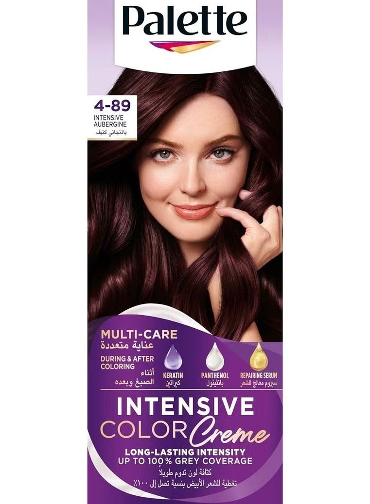 PALETTE 4-89 INTENSIVE AUBERGINE