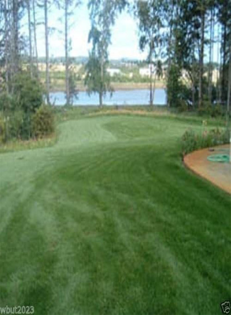 GGOOT Fescue grass seed blend ,Combat Extreme, For Northern Zone - USDA Zones 4 - 5 - Image 1