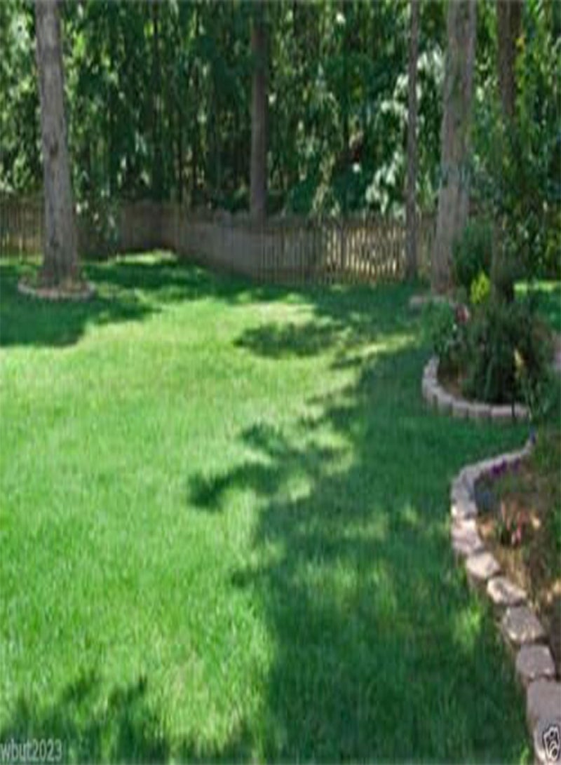 GGOOT Fescue grass seed blend ,Combat Extreme, For Northern Zone - USDA Zones 4 - 5 - Image 2