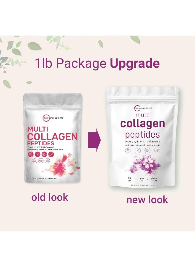 Micro Ingredients Multi Collagen Peptides Powder, 1 Pound (16 Ounce) - Type I,II,III,V,X with Biotin 10,000mcg, Hyaluronic Acid, Vitamin C - Unflavored - Keto  Paleo Friendly, Easy Dissolve, Non-GMO, Gluten Free - Image 3