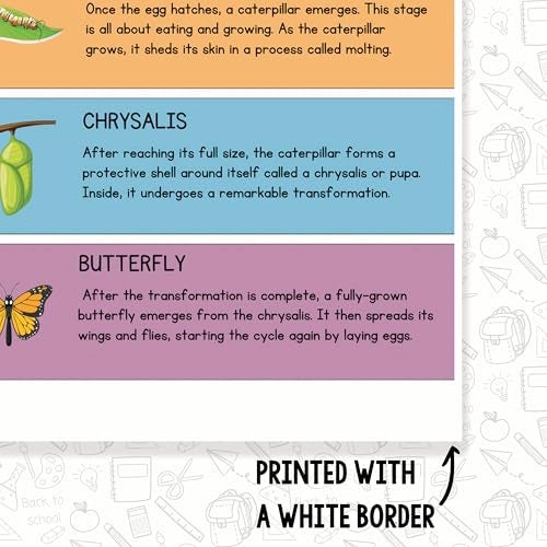 Printlabz Butterfly Life Cycle Classroom Poster - Science Class - 12 x 18 Inch - Classroom Decor - Classroom Must Haves - Back To School Decor - CPS0563 - Image 3