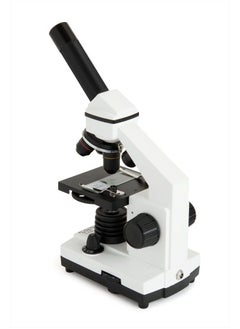 Celestron – Celestron Labs – Monocular Head Compound Microscope – 40-800x Magnification – Adjustable Mechanical Stage – Includes 2 Eyepieces and 10 Prepared Slides  - Image 3