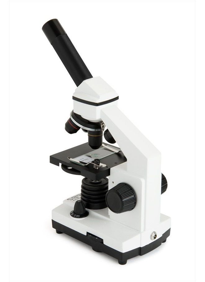 Celestron – Celestron Labs – Monocular Head Compound Microscope – 40-800x Magnification – Adjustable Mechanical Stage – Includes 2 Eyepieces and 10 Prepared Slides  - Image 3