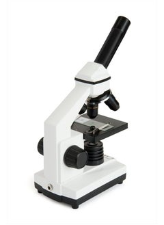 Celestron – Celestron Labs – Monocular Head Compound Microscope – 40-800x Magnification – Adjustable Mechanical Stage – Includes 2 Eyepieces and 10 Prepared Slides  - Image 4