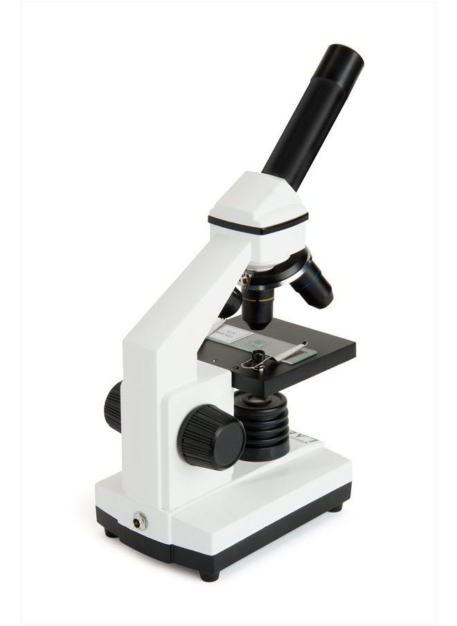 Celestron – Celestron Labs – Monocular Head Compound Microscope – 40-800x Magnification – Adjustable Mechanical Stage – Includes 2 Eyepieces and 10 Prepared Slides  - Image 4