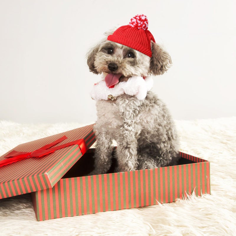 Red Santa Hat For Cats And Dogs Pet Christmas Headwear Winter Party Outfit - Image 5
