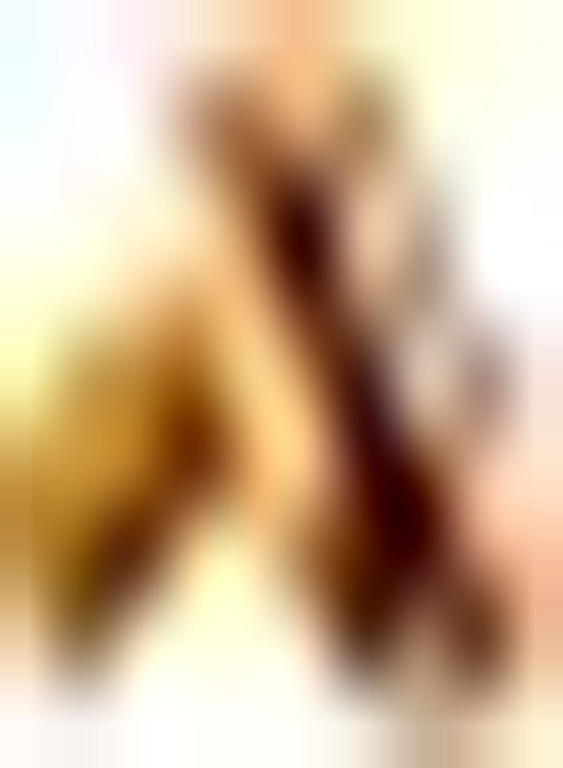 GGOOT 30Stück Papaya Samen Lange ovale Früchte das ganze Jahr über Zum Pflanzen von immergrünen Bäumen schmücken den Garten Hof Fleisch süß und saftig von Menschen geliebt - Image 2