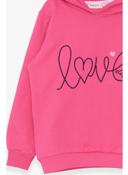 Girl Child Sweatshirt Embroidered Text Printed 2-6 Years, Pink - pzsku/Z7BA75E110010C4800E2CZ/45/_/1728059963/b92a666d-c245-44ff-b543-b52d047f59d2