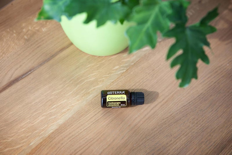 doTERRA Citronella Oil Cymbopogon winterianus - Image 2