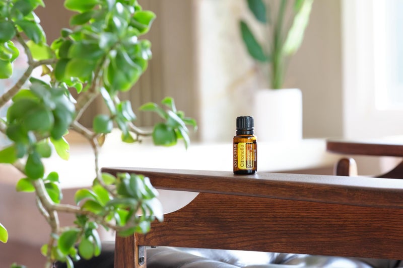 doTERRA Citronella Oil Cymbopogon winterianus - Image 5